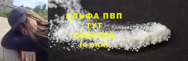 спиды Вяземский