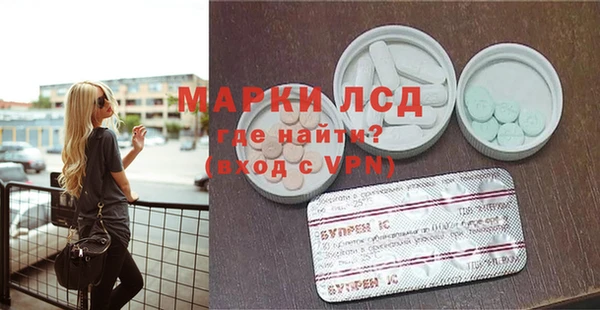 спиды Вяземский