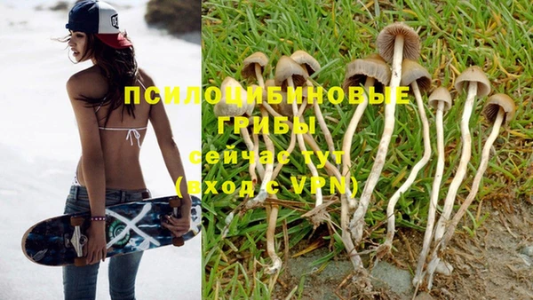 спиды Вяземский