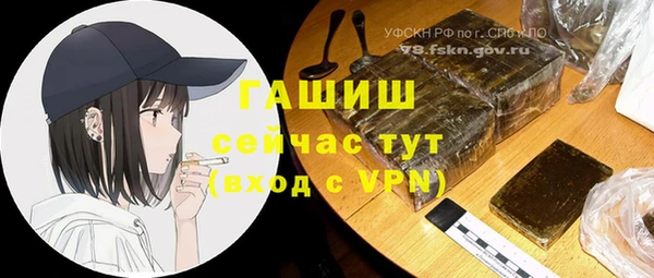 спиды Вяземский
