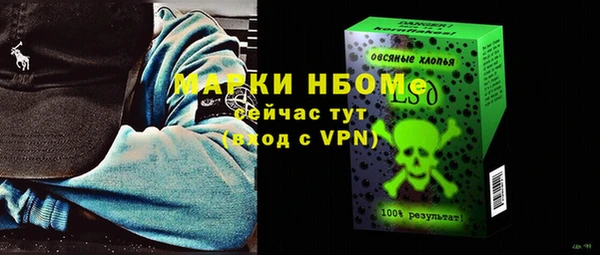 спиды Вяземский