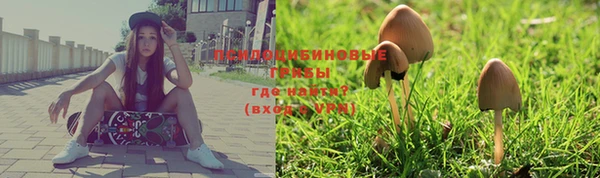 герыч Горняк