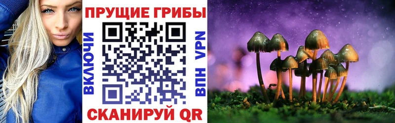 Галлюциногенные грибы Cubensis  Томилино 